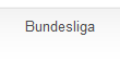 Bundesliga